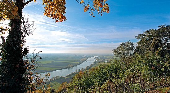 Ein Blick auf die im Tal liegende Donau. Über den Fluß führt eine Eisenbahnbrücke.  Im Vordergrund links ein Baum, in der Mitte und rechts Sträucher in der herbstlichen Landschaft