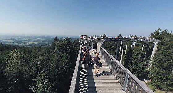 Beim Waldwipfelweg in Maibrunn genießen viele Menschen auf Baumkronenhöhe, auf dem 370 m langen Steg,  eine fantastische Aussicht in die sommerliche Landschaft.