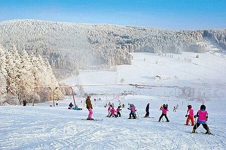 Skispass und Kinderskikurs am Skilift Grün-Maibrunn. Pulverschneepiste, schneebedeckte Landschaft und Bäume, blauer Himmel.