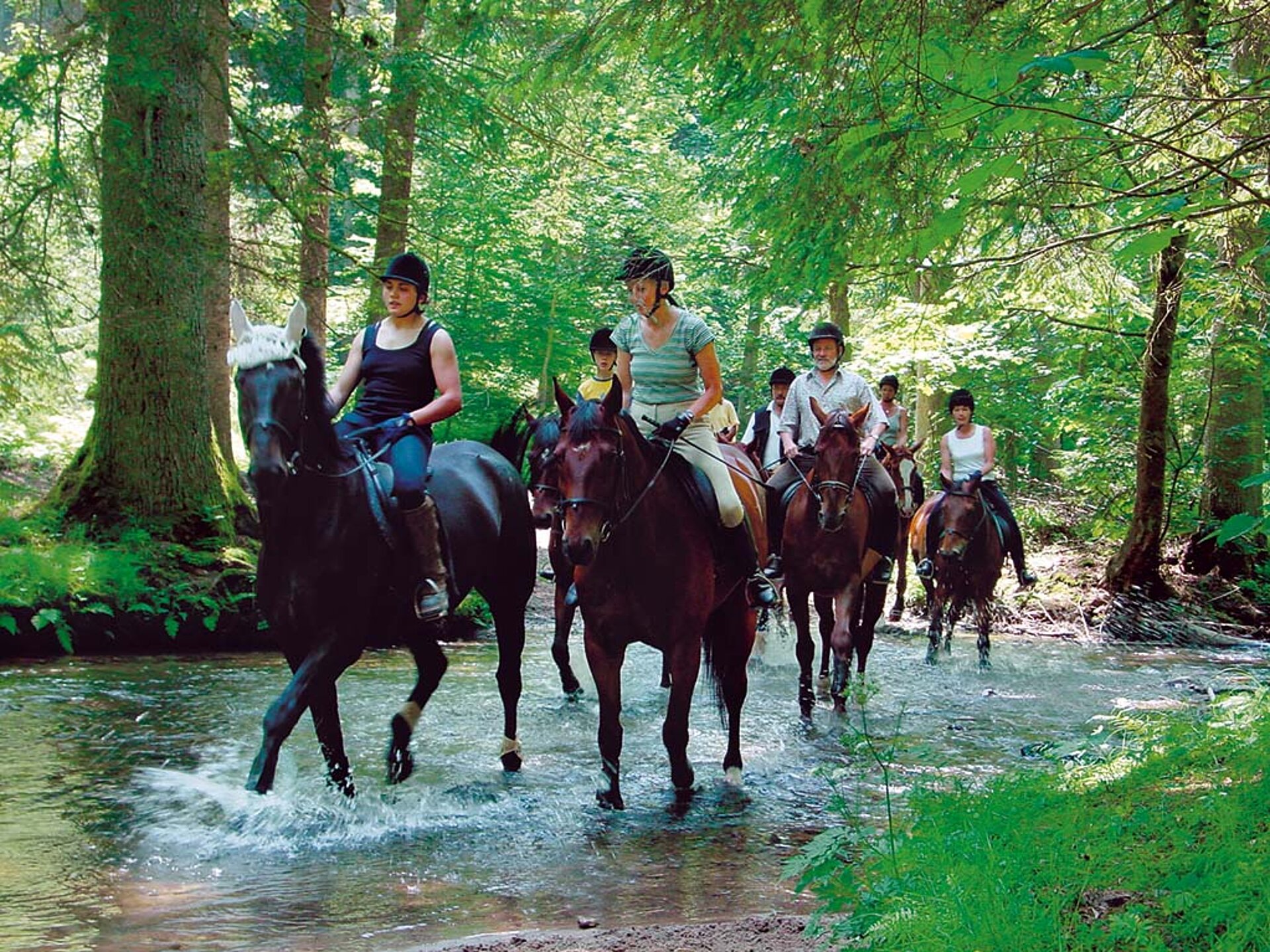 Sieben stolze Reiterinnen und Reiter, Jung und Alt, erkunden durch einen Bach reitend,Wald und Flur.